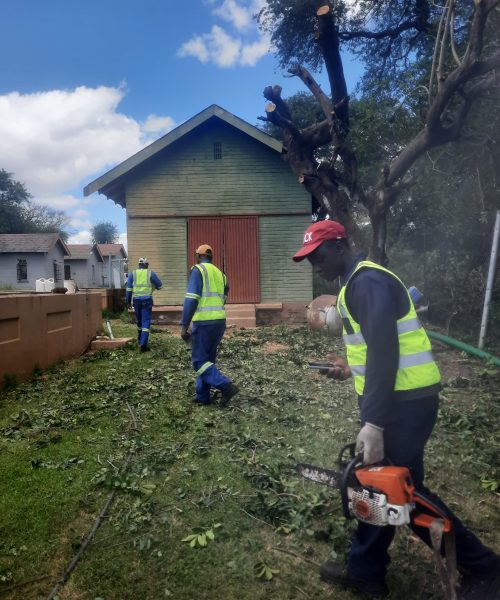 WhatsApp-Image-2025-01-27-at-07.52.15-scaled