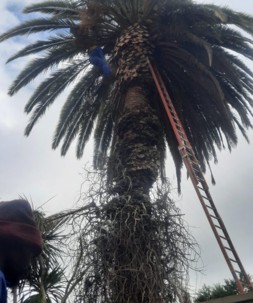 WhatsApp-Image-2025-01-27-at-07.53.01-scaled