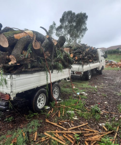 WhatsApp-Image-2025-01-27-at-07.53.02-scaled