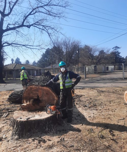 WhatsApp-Image-2025-01-27-at-07.53.16-scaled